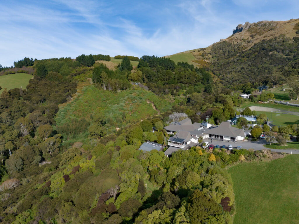 Dji 0800