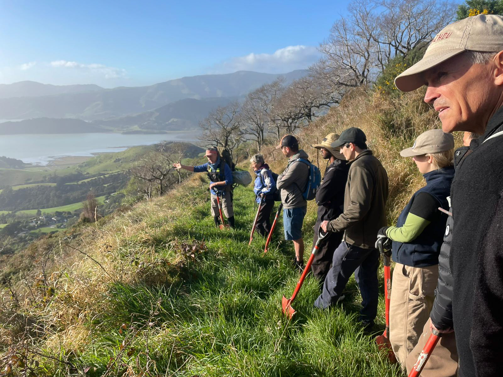 Volunteers undertaking conservation work on a hillside at Living Springs, overlooking Whakaraupō Lyttelton Harbour.